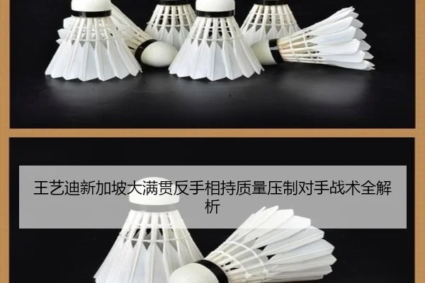 王艺迪新加坡大满贯反手相持质量压制对手战术全解析