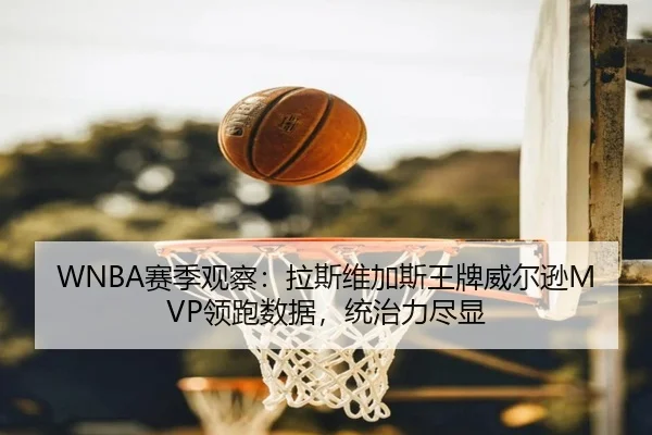 sai-ji-guan-cha-la-si-wei-jia-si-wang-pai-wei-er-xun-ling-pao-shu-ju-tong-zhi-li-jin-xian-3-801.jpg