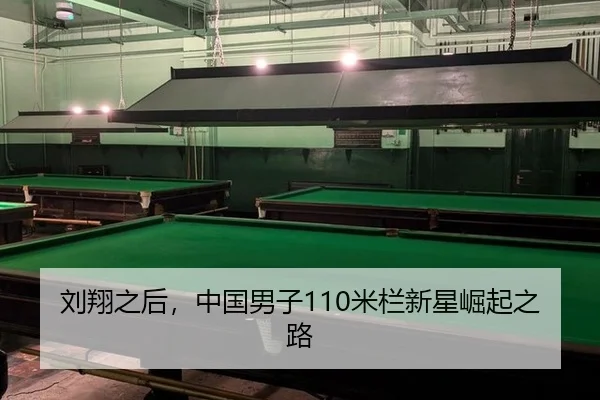 刘翔之后，中国男子110米栏新星崛起之路