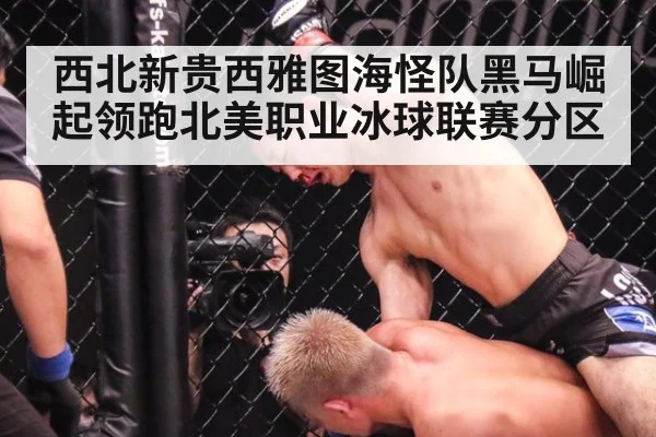 西北新贵西雅图海怪队黑马崛起领跑北美职业冰球联赛分区