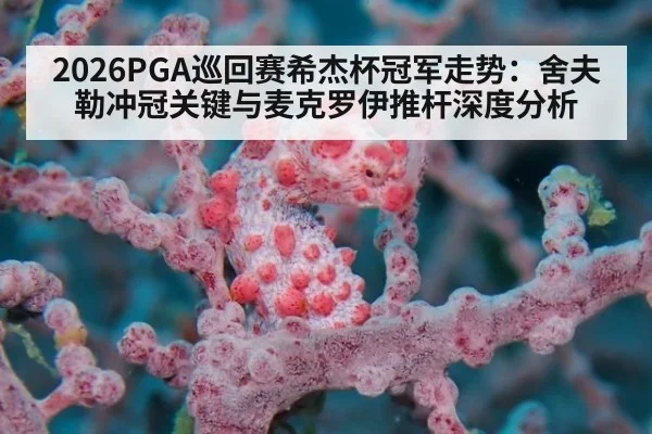 2026PGA巡回赛希杰杯冠军走势:舍夫勒冲冠关键与麦克罗伊推杆深度分析